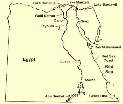 Major Birding Areas in Egypt